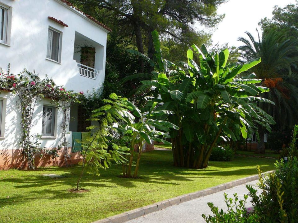 Lage der Appartements TUI MAGIC LIFE Cala Pada