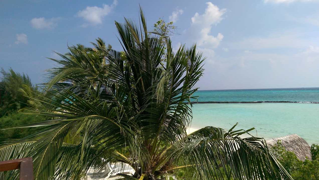 Toller Blick aus dem Bungalow Summer Island Maldives
