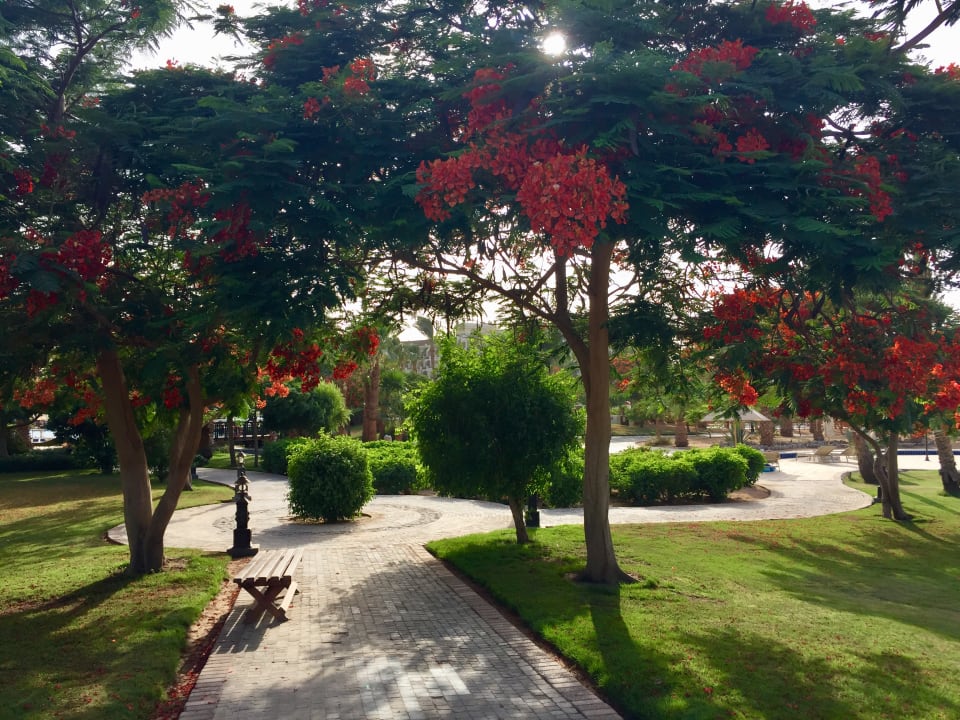 Gartenanlage Steigenberger ALDAU Beach Hotel