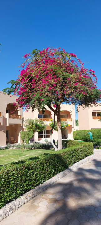 Gartenanlage Continental Hotel Hurghada