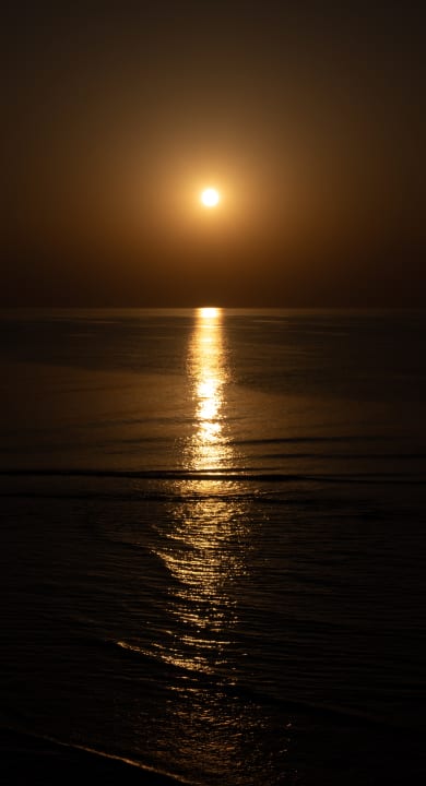 Ausblick Steigenberger Coraya Beach - Adults only