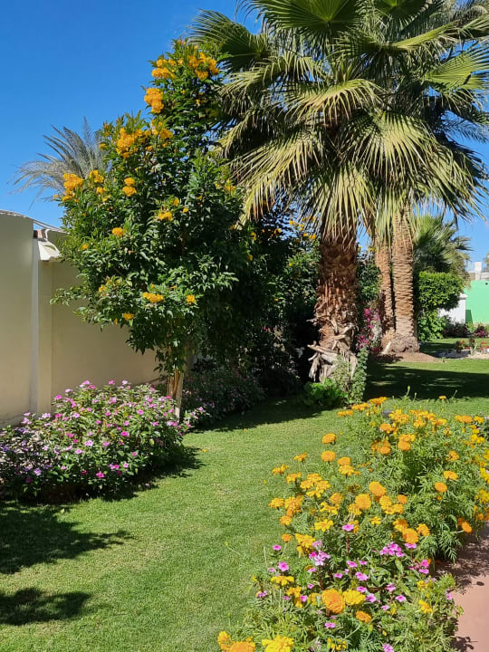 Gartenanlage Amarina Abu Soma Resort & Aquapark