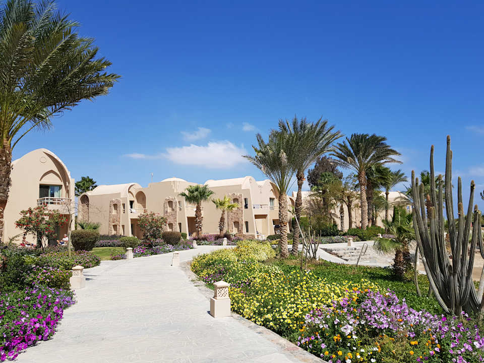 Gartenanlage Shams Alam Beach Resort