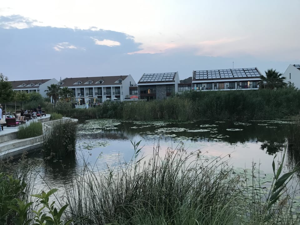 Gartenanlage Jiva Beach Resort