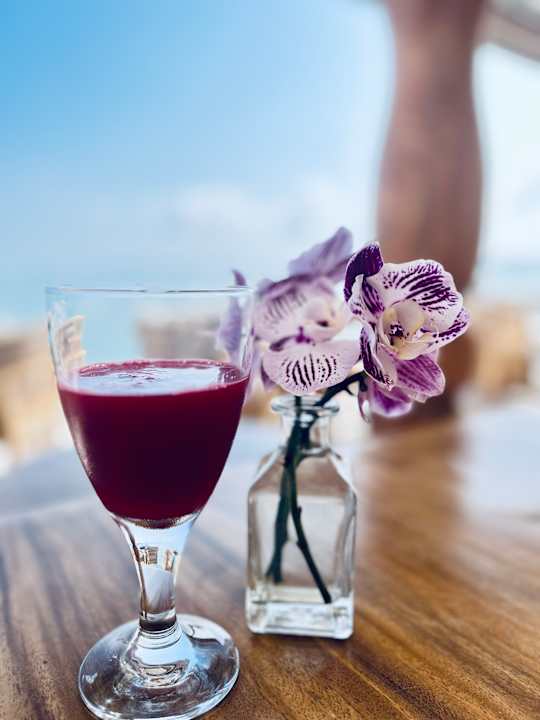 Gastro Zazen Boutique Resort & Spa