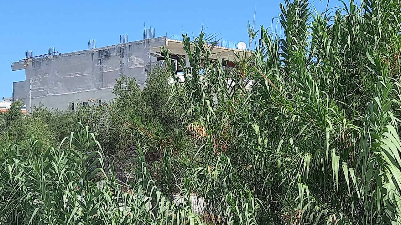 Ausblick Hollywood Inn - Faliraki Adults Only