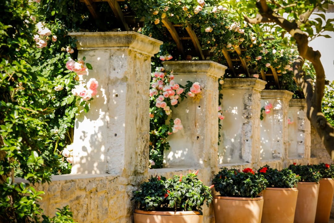 Gartenanlage Hotel Lemongarden