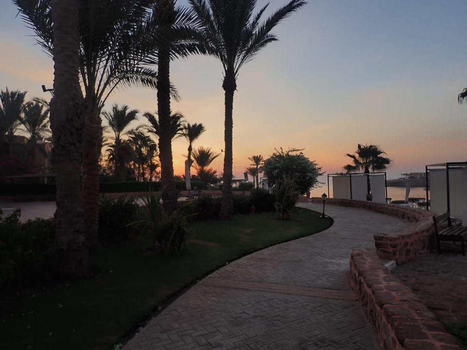 Sonstiges Steigenberger Coraya Beach - Adults only