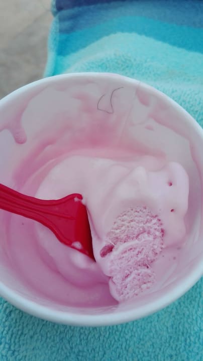 Gastro Hotel Floresta