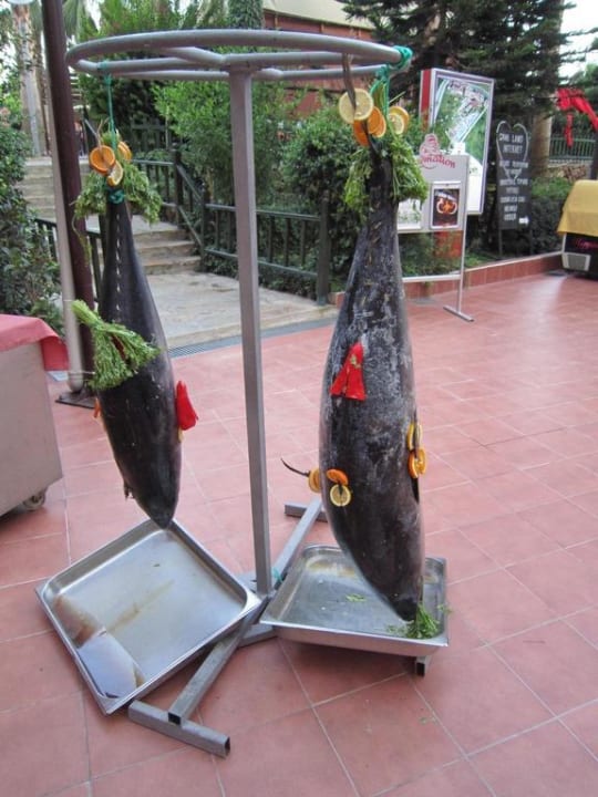 Fisch Abend Hane Family Resort