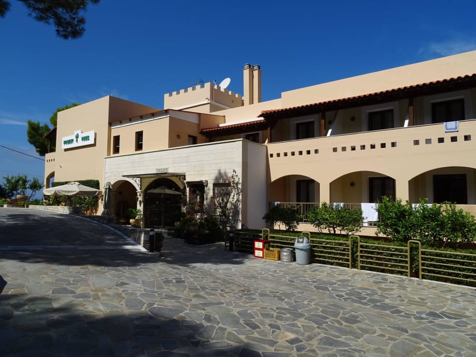 Hotel vom Wäldchen aus gesehen Hotel Forest Park