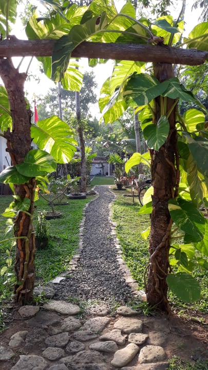 Gartenanlage Wine Tree Garden Guesthouse