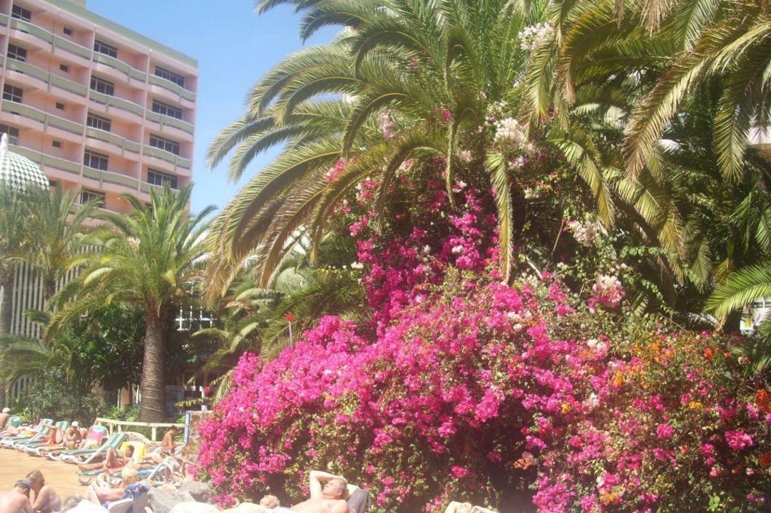 Garten Abora Buenaventura by Lopesan Hotels