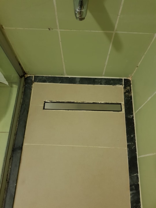 Zimmer Hotel Orfeus Park