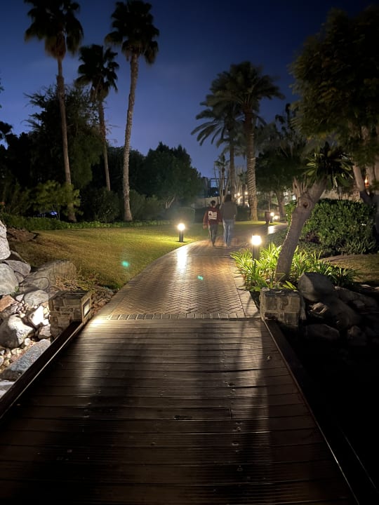 Gartenanlage JA Palm Tree Court