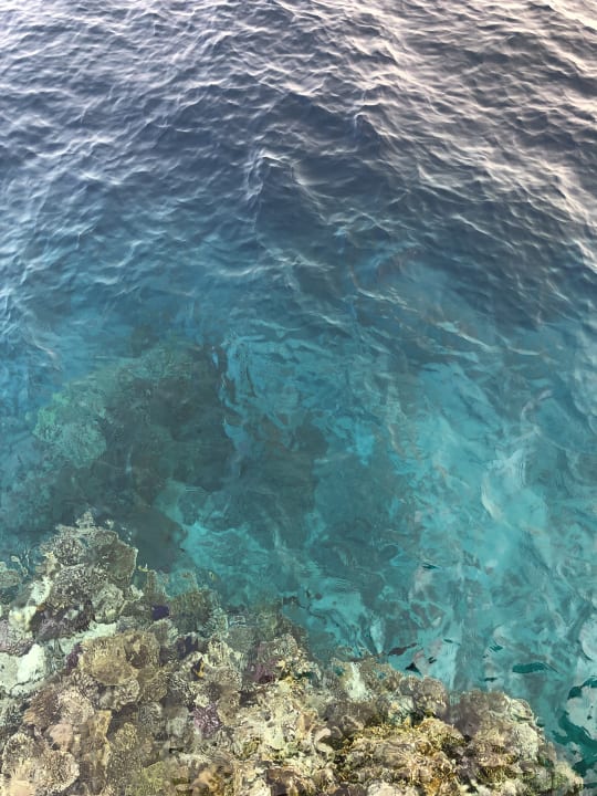 Strand Pickalbatros Golf Beach Resort