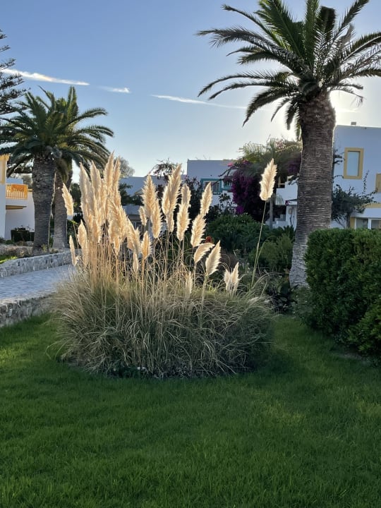 Gartenanlage Mastichari Bay Hotel