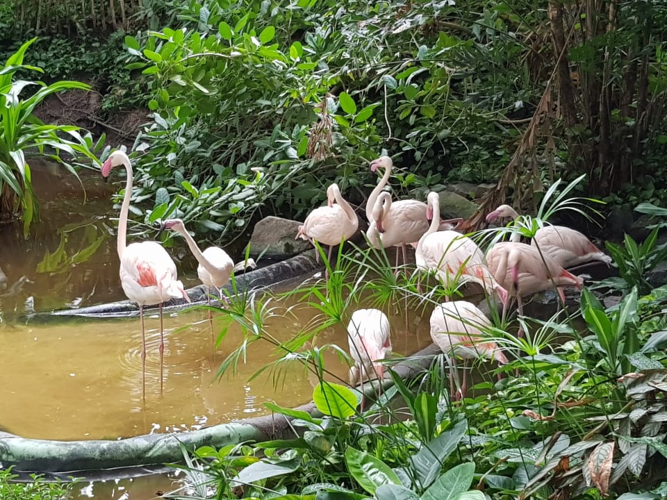 Sonstiges Tropical Islands Resort