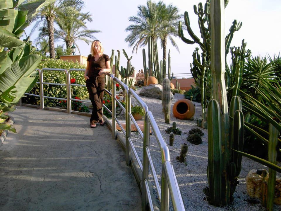 Kakteengarten Playacálida Hotel