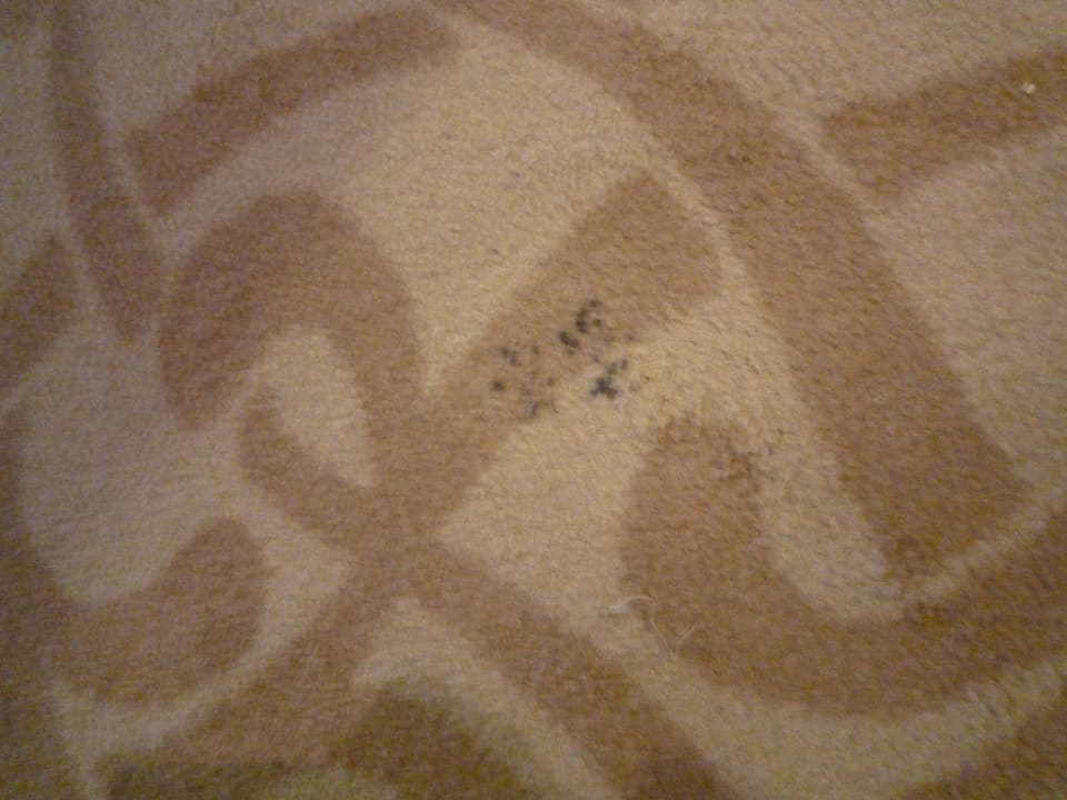 Brandflecken FUN&SUN Smart Hane Sun Hotel