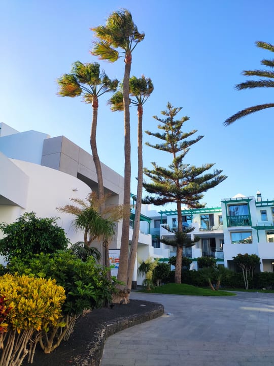 Gartenanlage Barceló Teguise Beach - Adults only