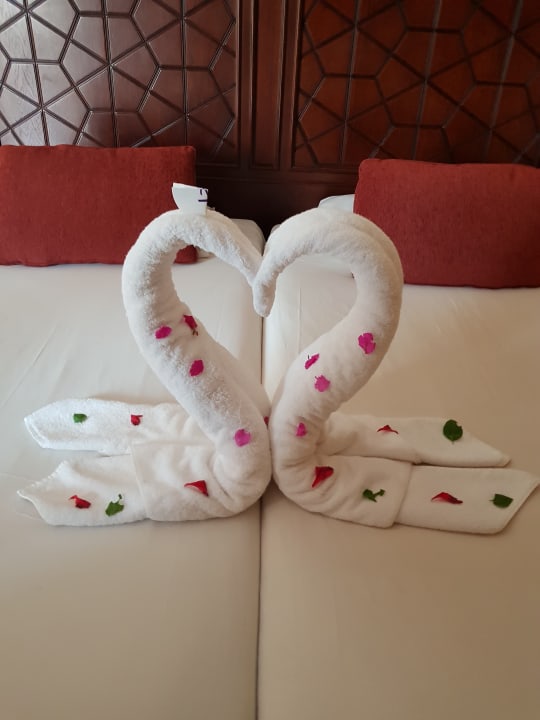 Zimmer Iberotel Makadi Beach