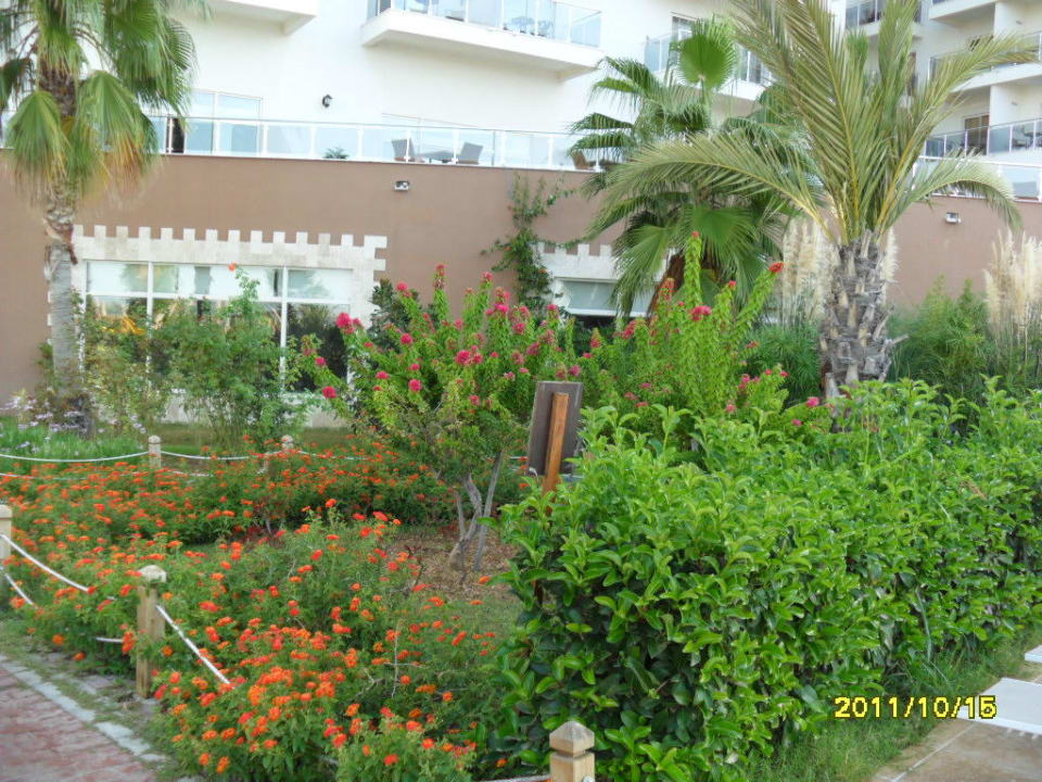 Seaden Hotel Sea World Resort & Spa Seaden Sea World Resort & Spa