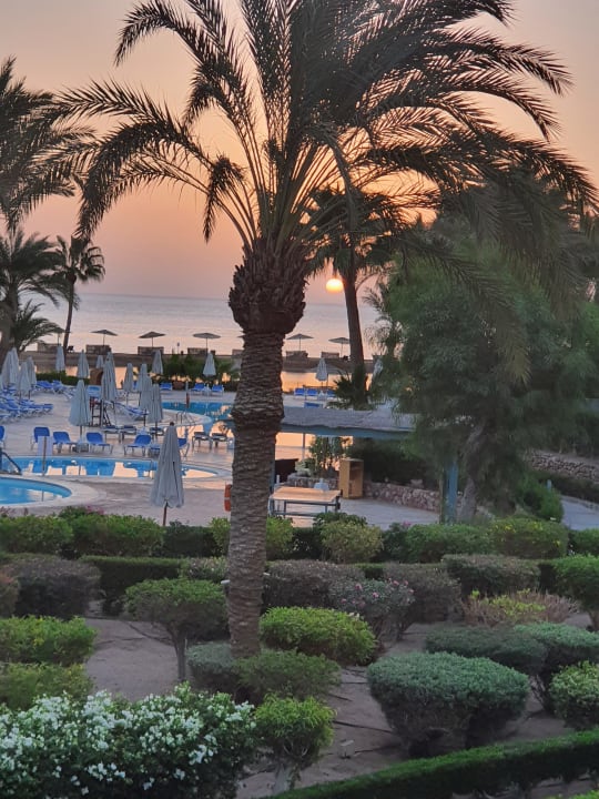 Pool Mövenpick Resort & Spa El Gouna