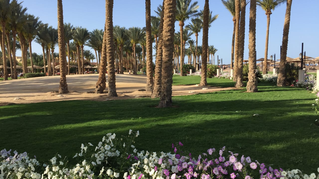 Gartenanlage Makadi Spa - Adults only