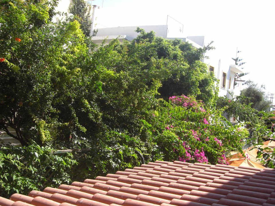 Pool Dimitrios Beach Hotel