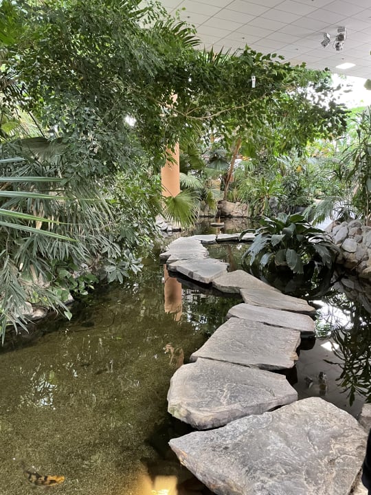 Sonstiges Center Parcs Les Bois-Francs