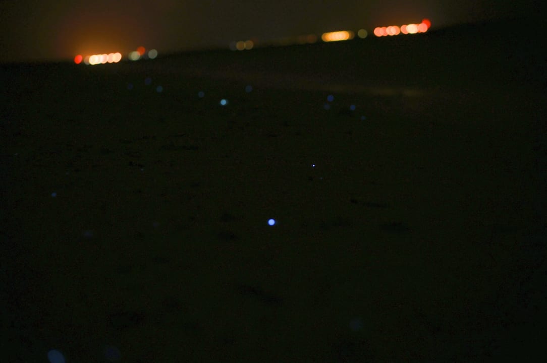 Fluoreszierende Mikroorganismen NH Collection Maldives Reethi Resort