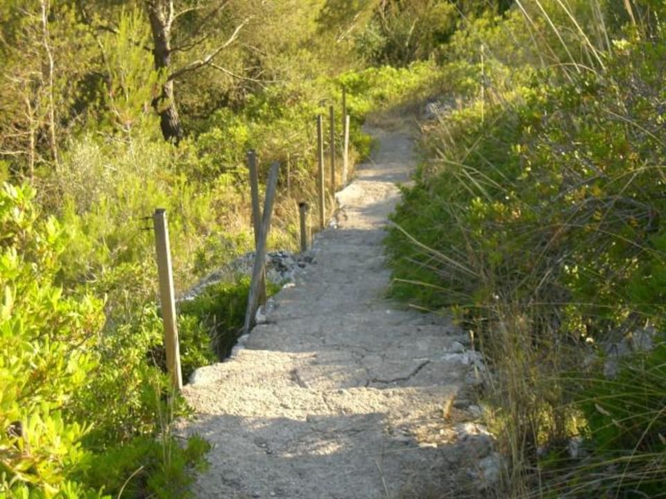 400 m Weg vom Hotel zum Strand HSM Canarios Park