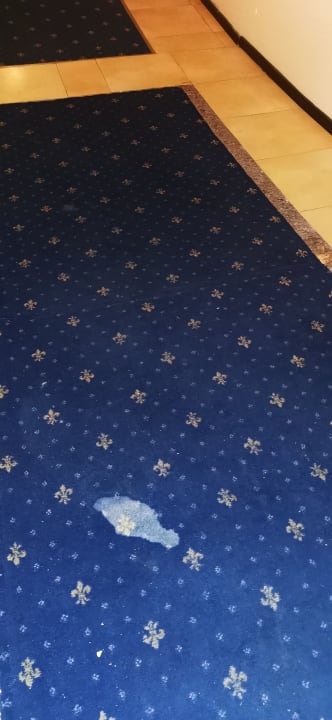 Sonstiges Blue Diamond Alya