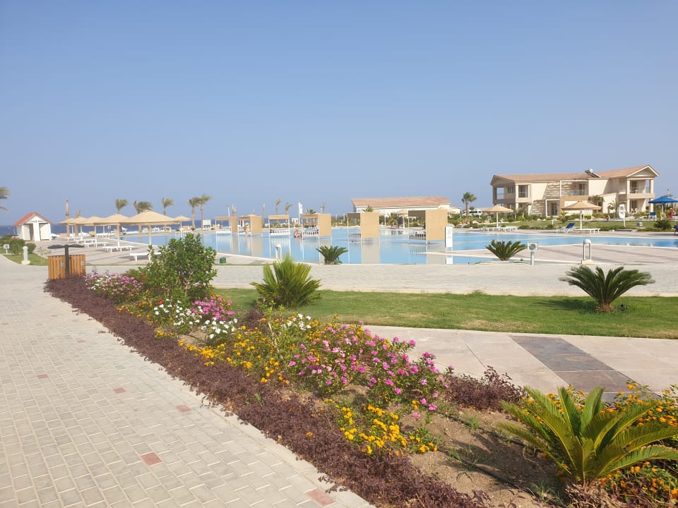 Pool Pickalbatros Sea World Resort - Marsa Alam