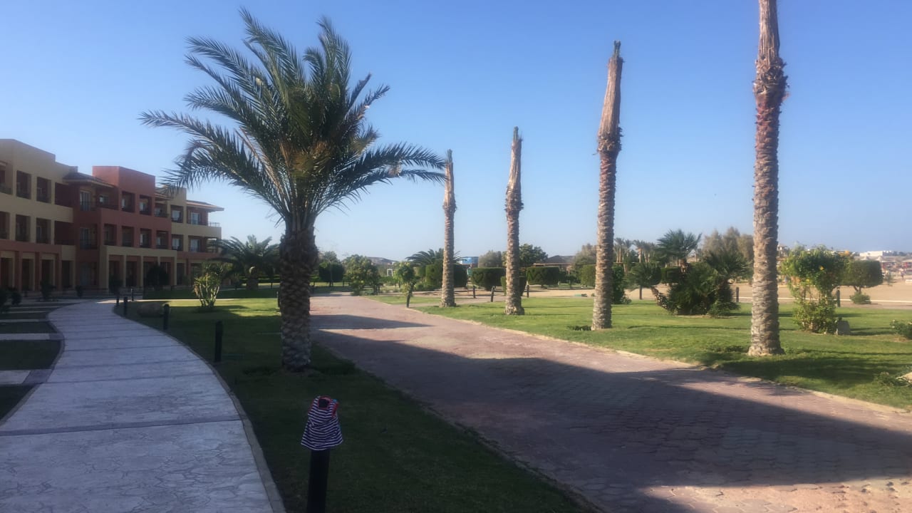 Garten Malikia Resort Abu Dabbab
