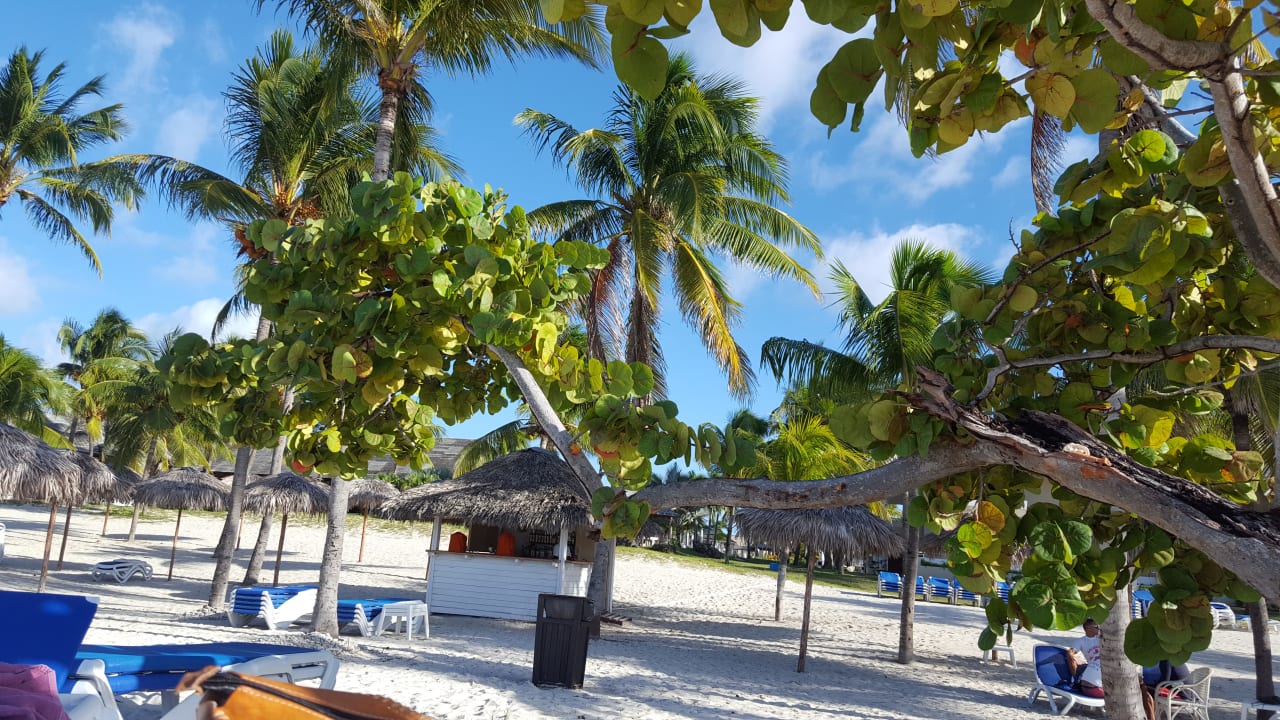 Strand Paradisus Varadero Resort & Spa