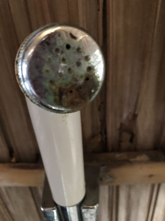 Zimmer Papua Paradise Eco Resort