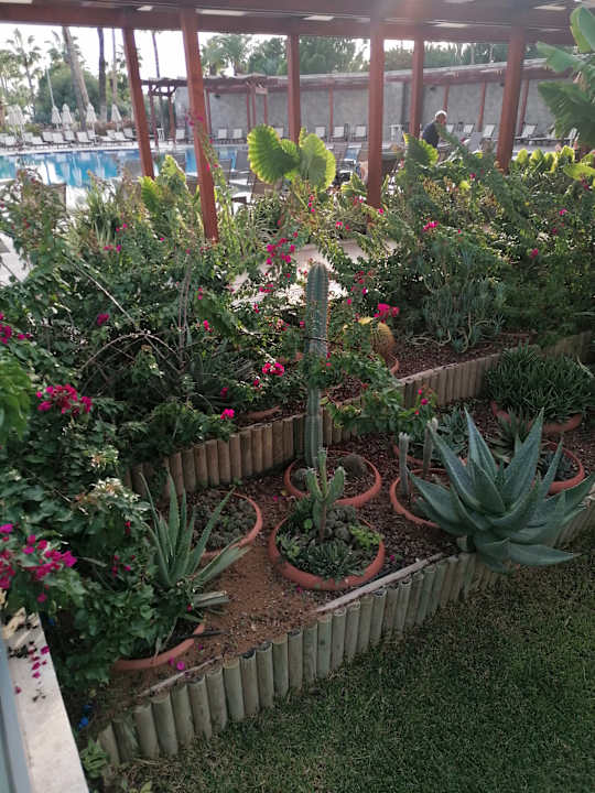 Gartenanlage Süral Saray Hotel