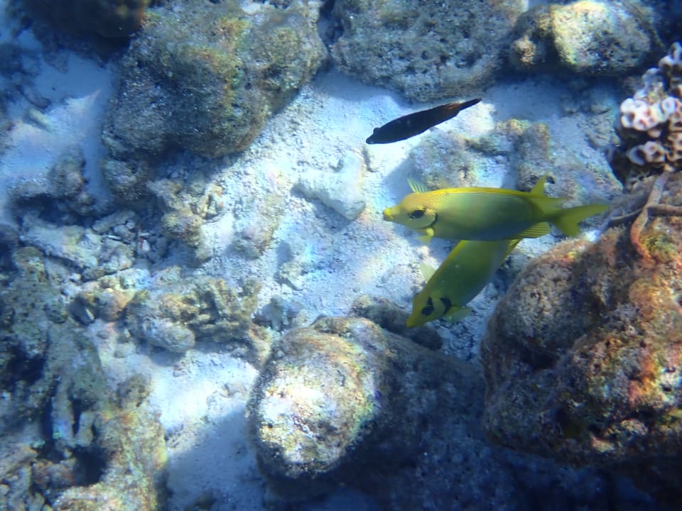 Sport & Freizeit Filitheyo Island Resort