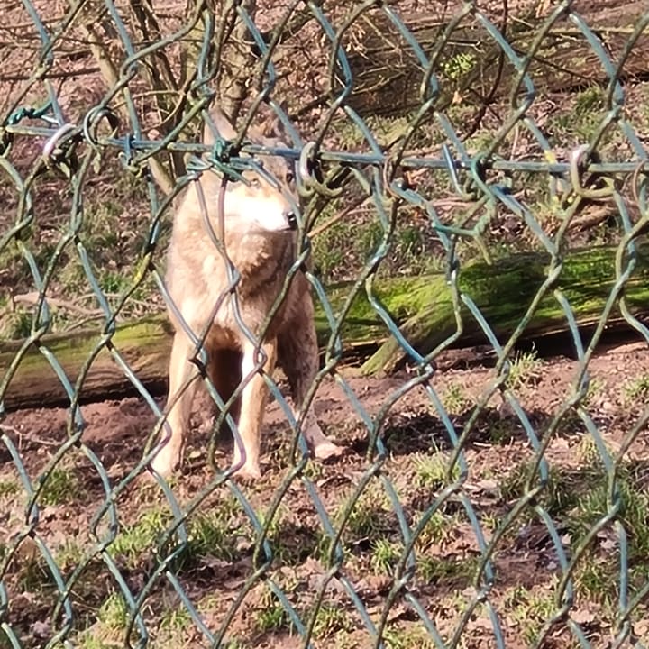 Sport & Freizeit Natur-Resort Tripsdrill