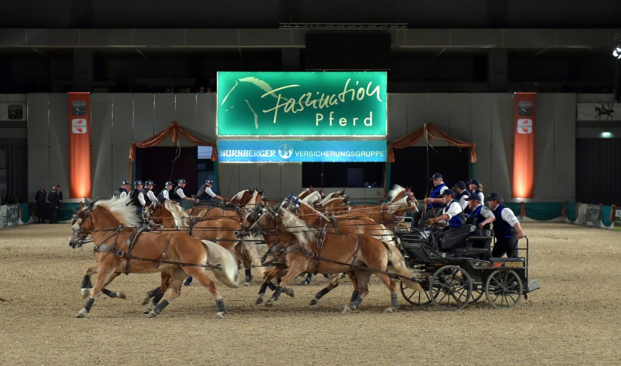 Unsere Pferde beim Auftritt Pferdemesse Nürnberg Ferienhaus Stipfing