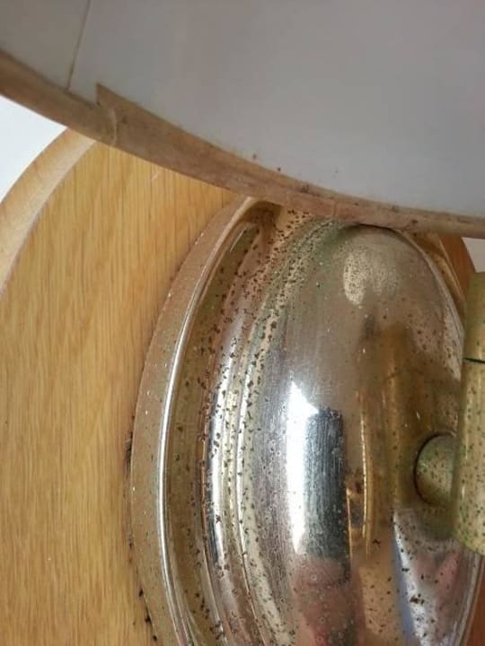 Lampe Riviera Spa Resort - Adults Only