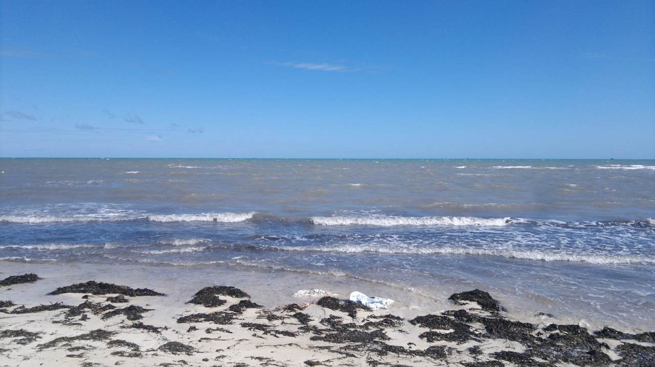Sehr viele Algen, Baden nicht möglich Calimera Yati Beach