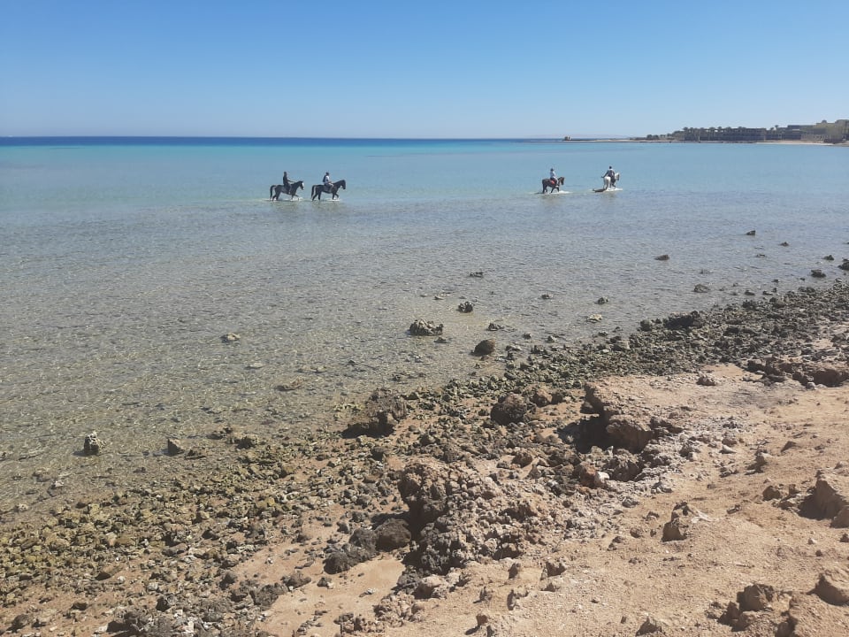 Strand Palm Beach Resort