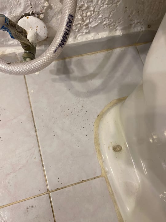 Zimmer Hotel Viva Dominicus Beach by Wyndham - All Inclusive Resort