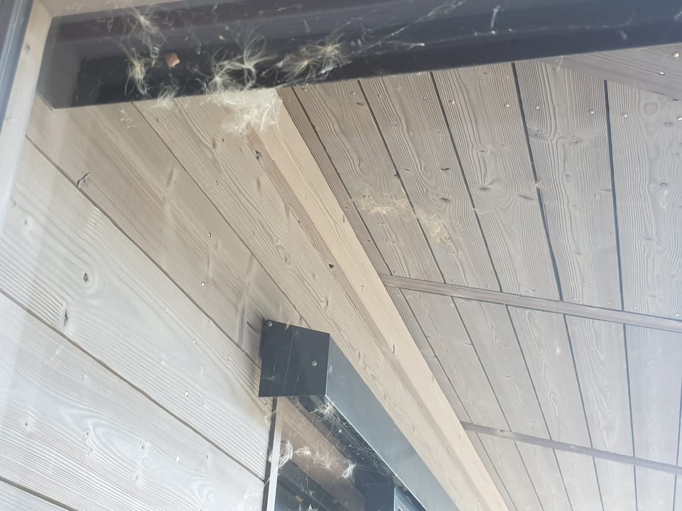 Zimmer Center Parcs Park Allgäu