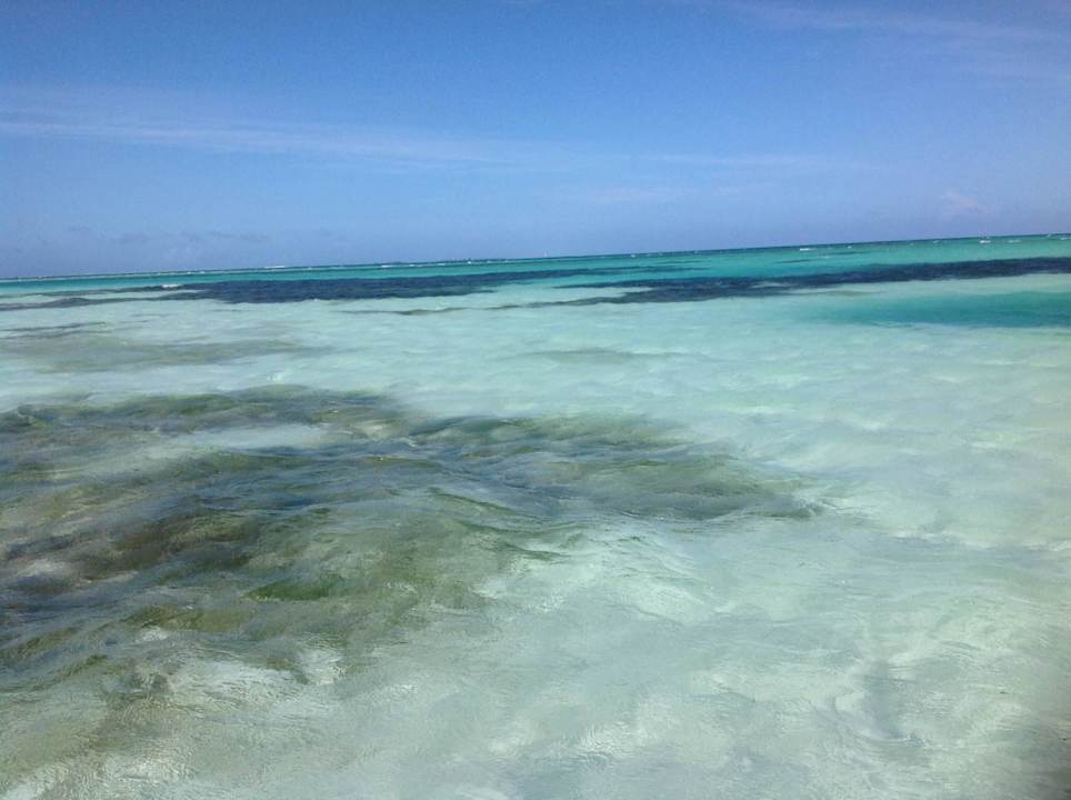 Und immer wieder Meeru Maldives Resort Island