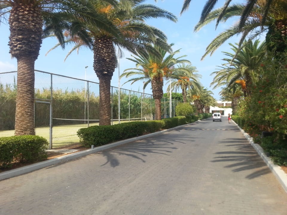 Hoteleigener Tennisplatz Phãea Cretan Malia