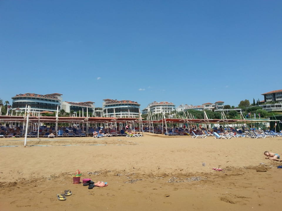 Strand mit Hotel Alba Queen Hotel